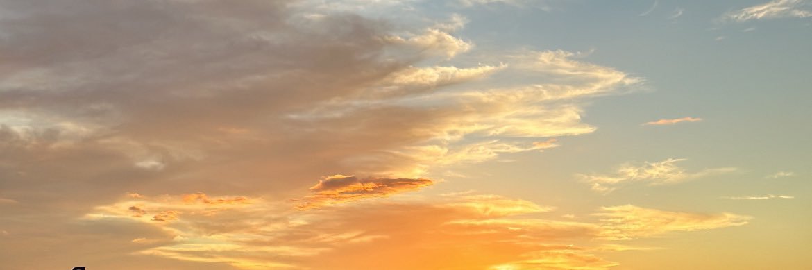 ｱﾐ banner