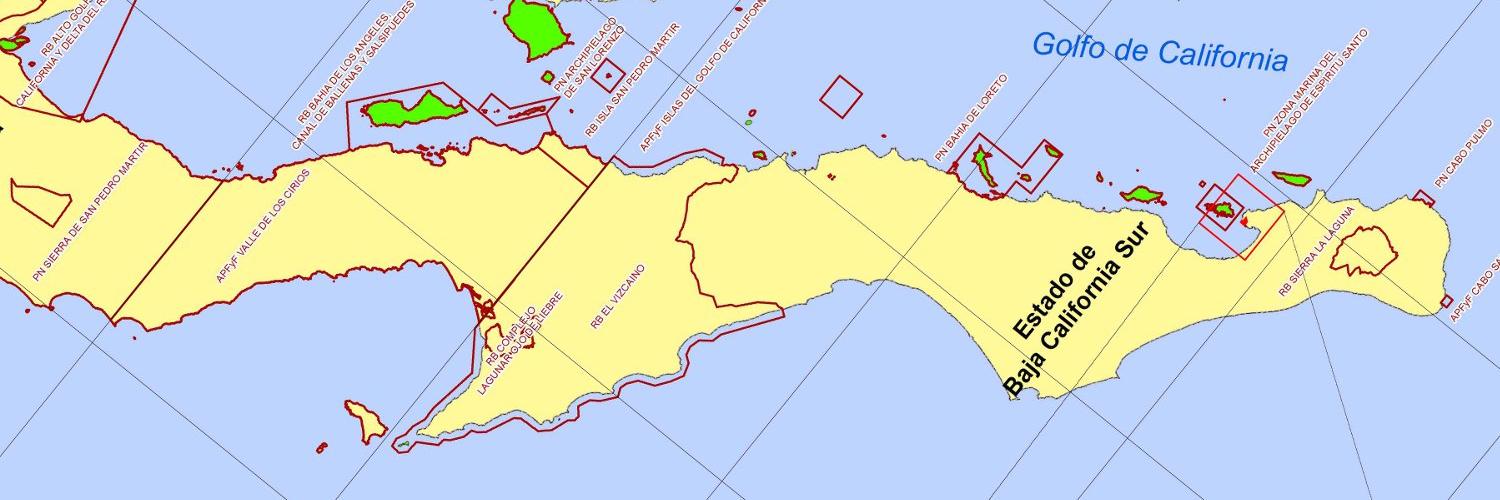 Gulf of California banner