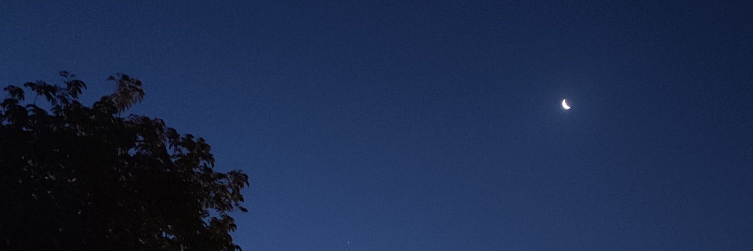 morrtteza's profile banner image