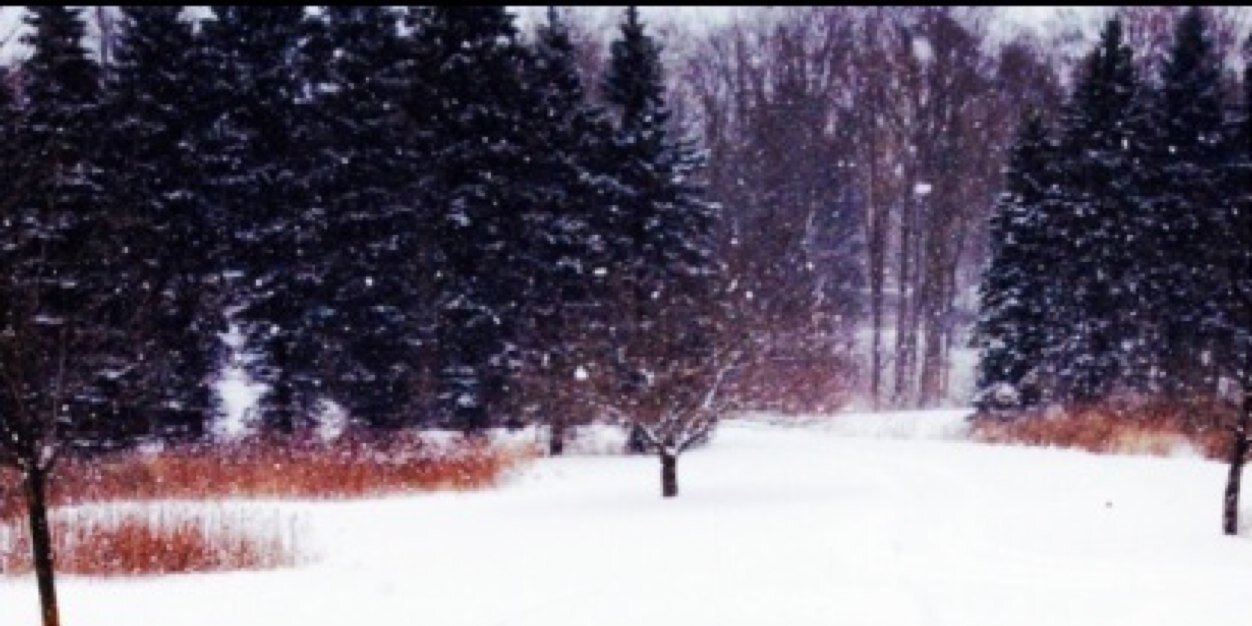 leapsandbounds_'s profile banner image