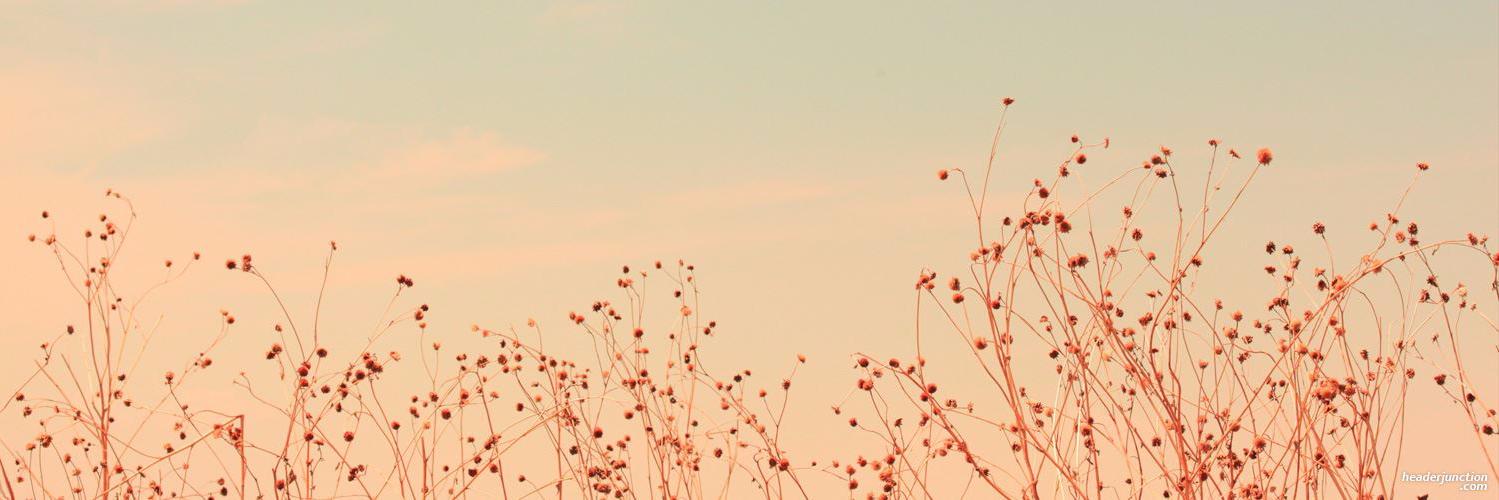 TataMolinaro's profile banner image