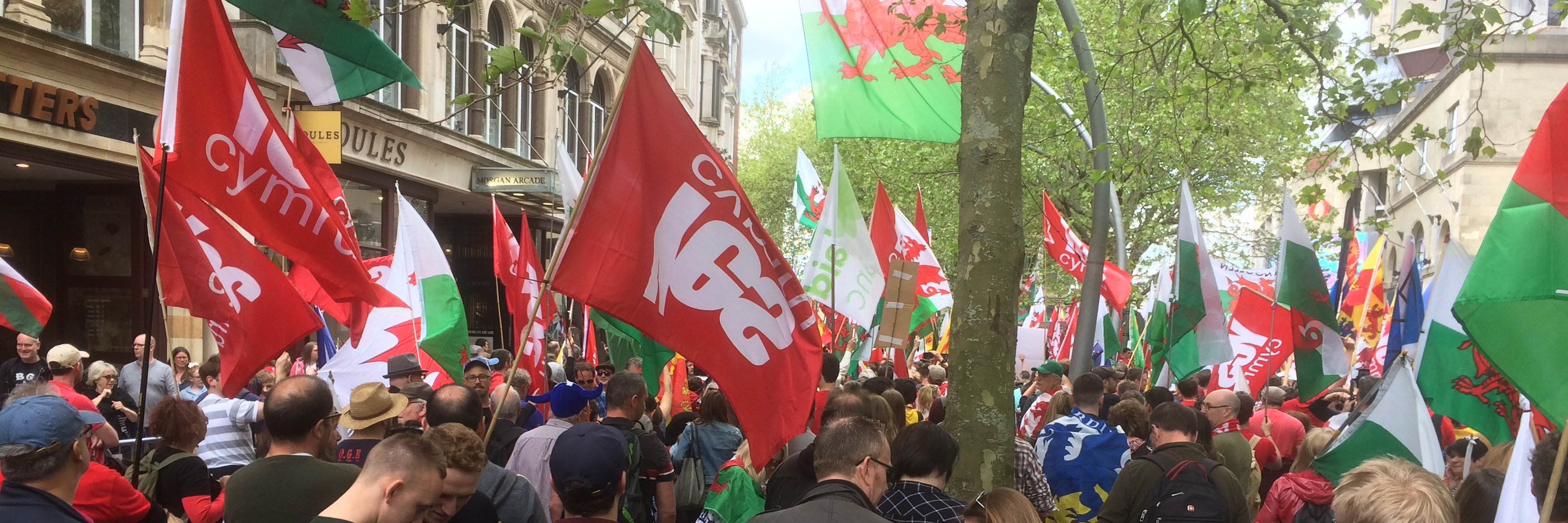 Mari Strachan banner