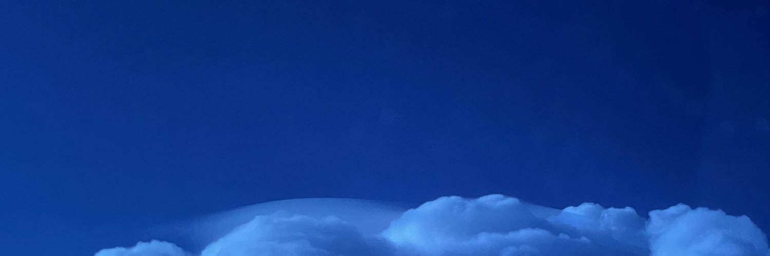 annalinng's profile banner image