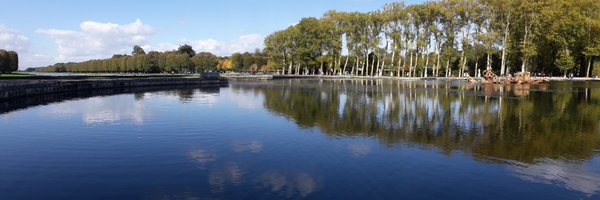 MarioToss Profile Banner