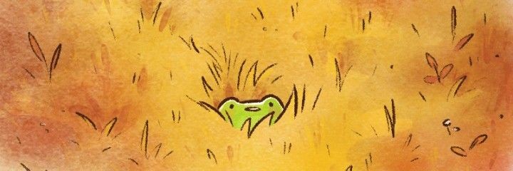 sopitathefrog's profile banner image