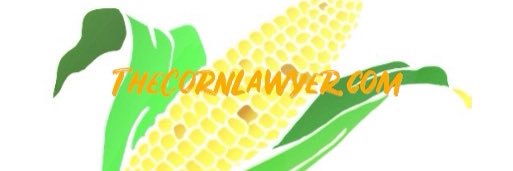 thecornlawyer's profile banner image