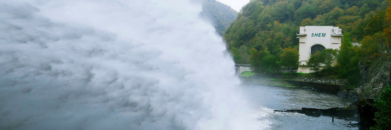 SHEM banner
