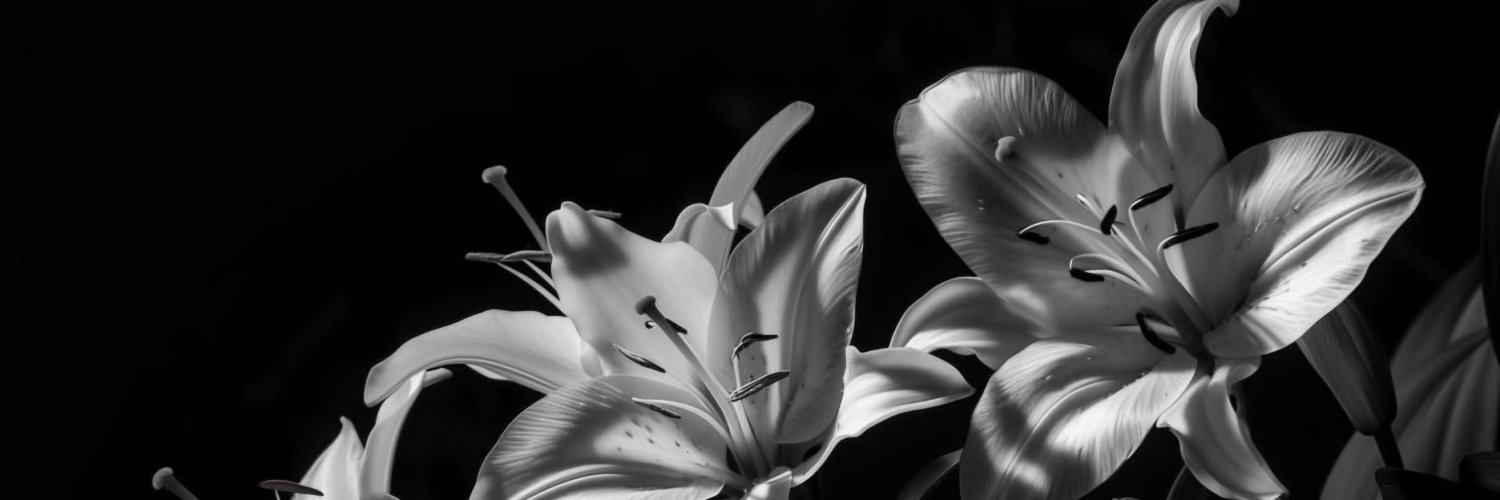 babjy's profile banner image