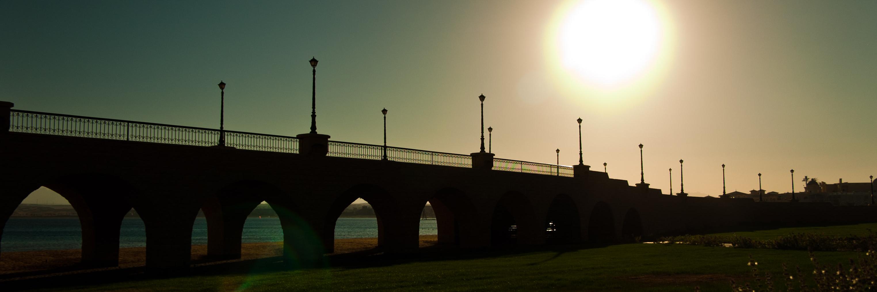 cookrook's profile banner image