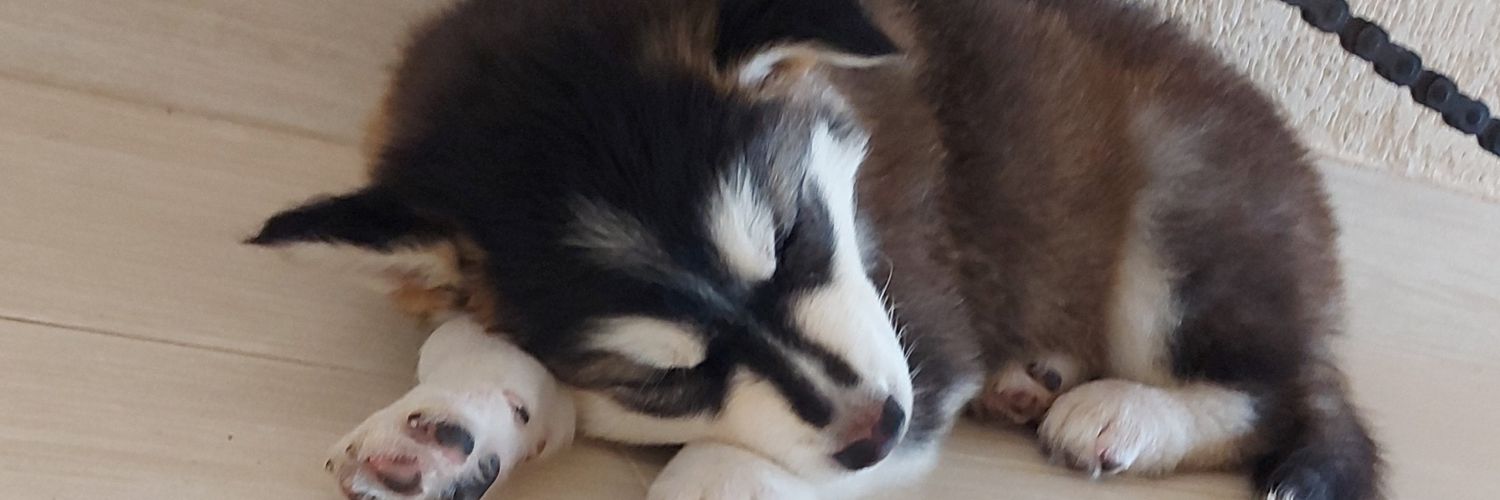 ͏ ͏ ͏ ͏ ͏ banner