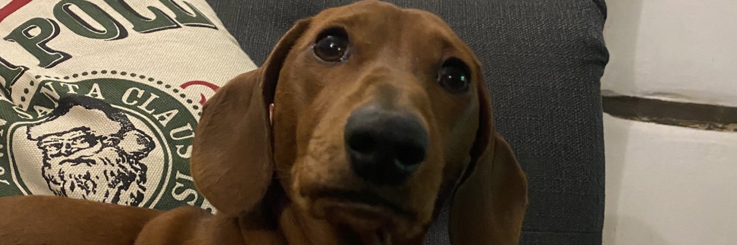 wicksenton's profile banner image