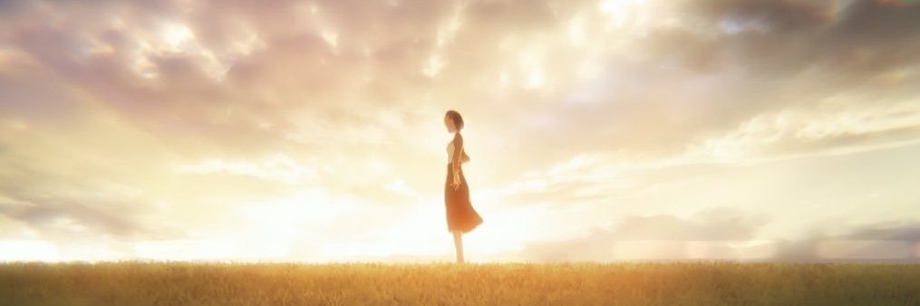 EirnWolf's profile banner image
