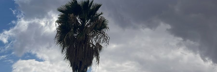 عبداللهـ العسيري. banner