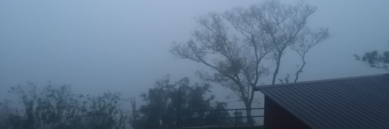 MarkBea23's profile banner image