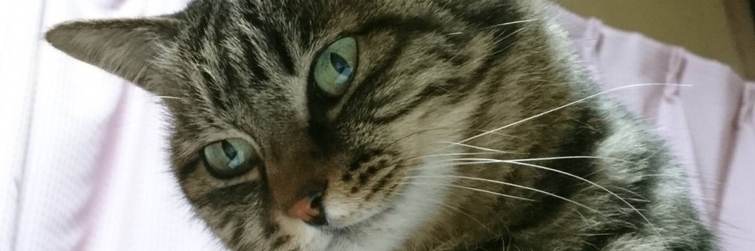 kozy27's profile banner image