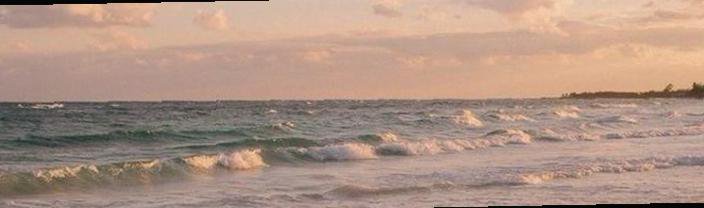 CarlaPea19's profile banner image