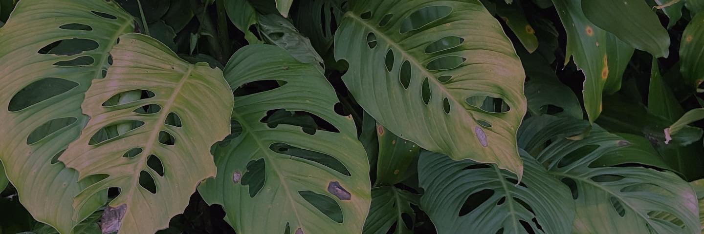 elieth_12's profile banner image