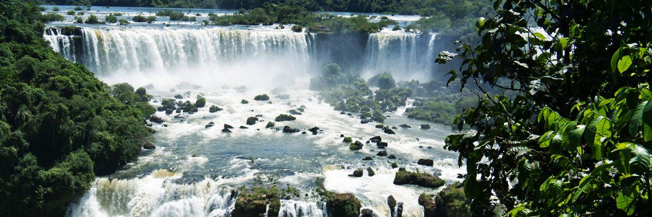 Ayodele Michael banner