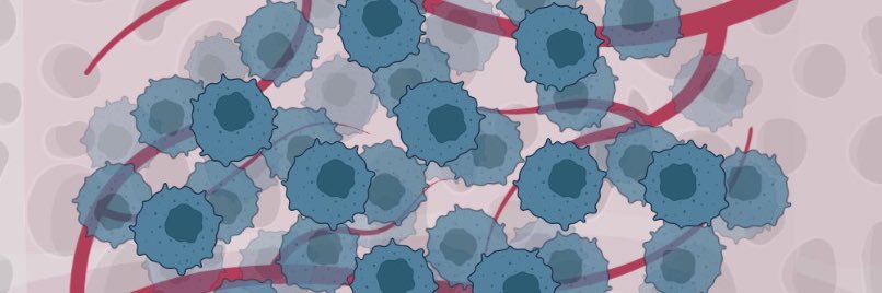 Patrik Andersson banner