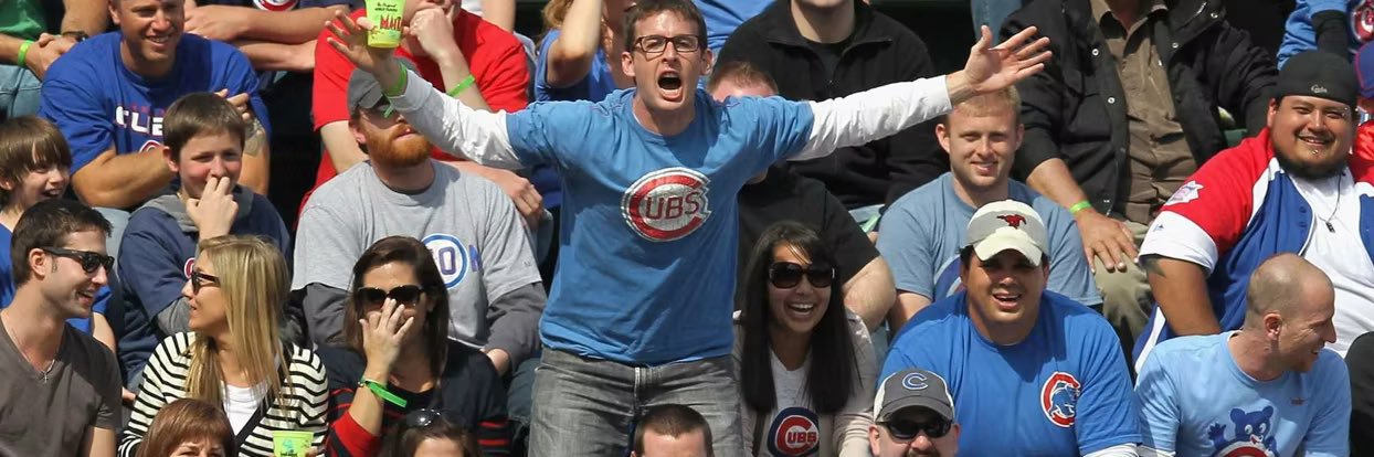 Moronic Cubs Fans banner