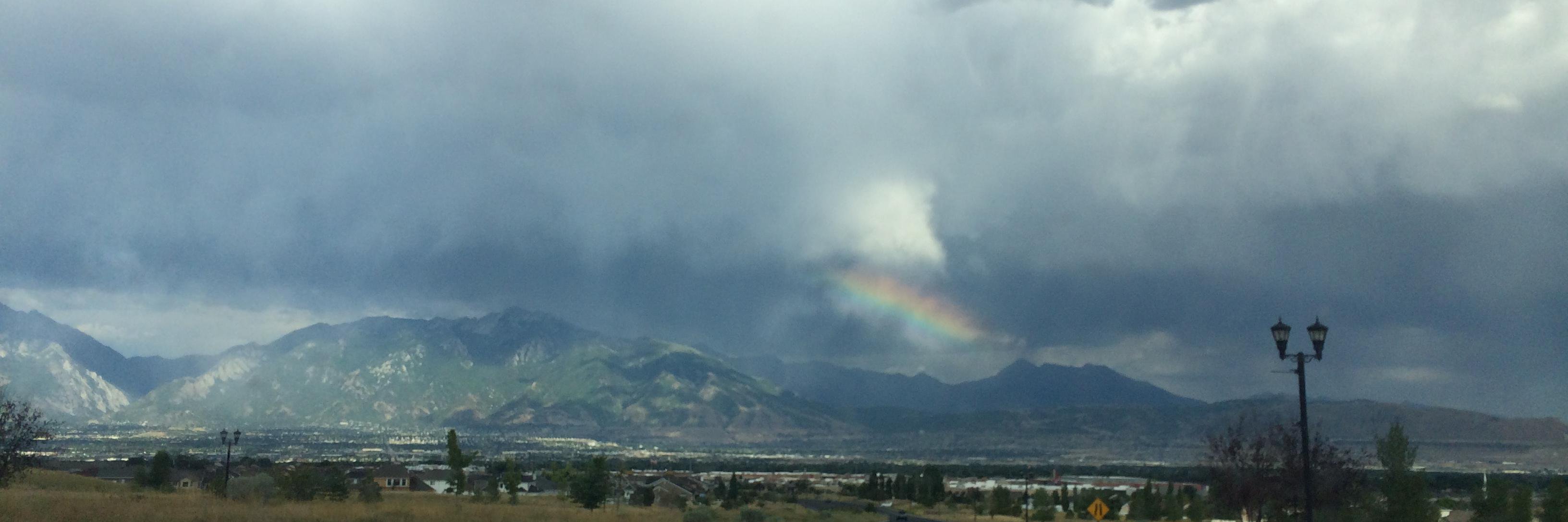 Rebecca Bingham banner