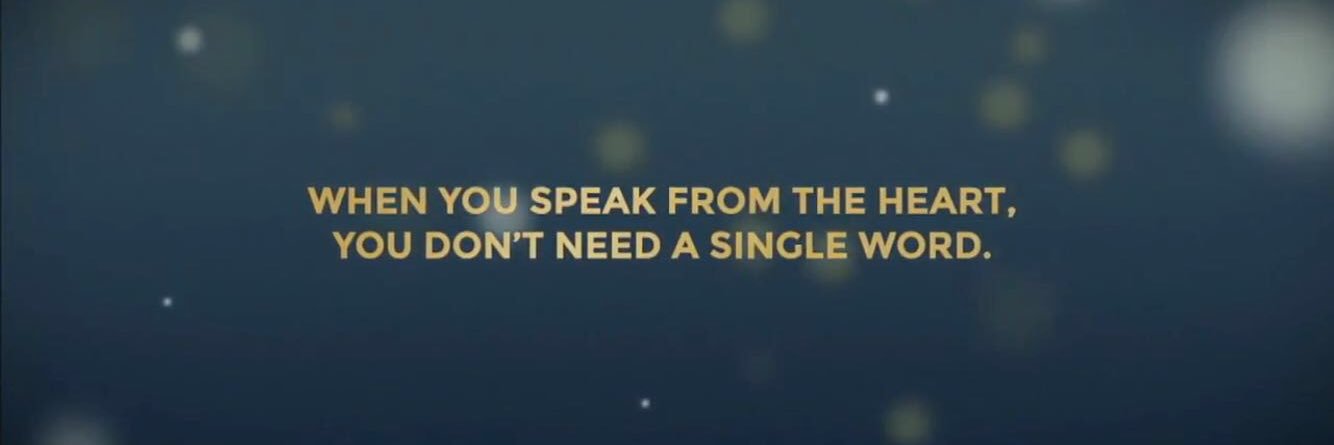 EvaPavo's profile banner image
