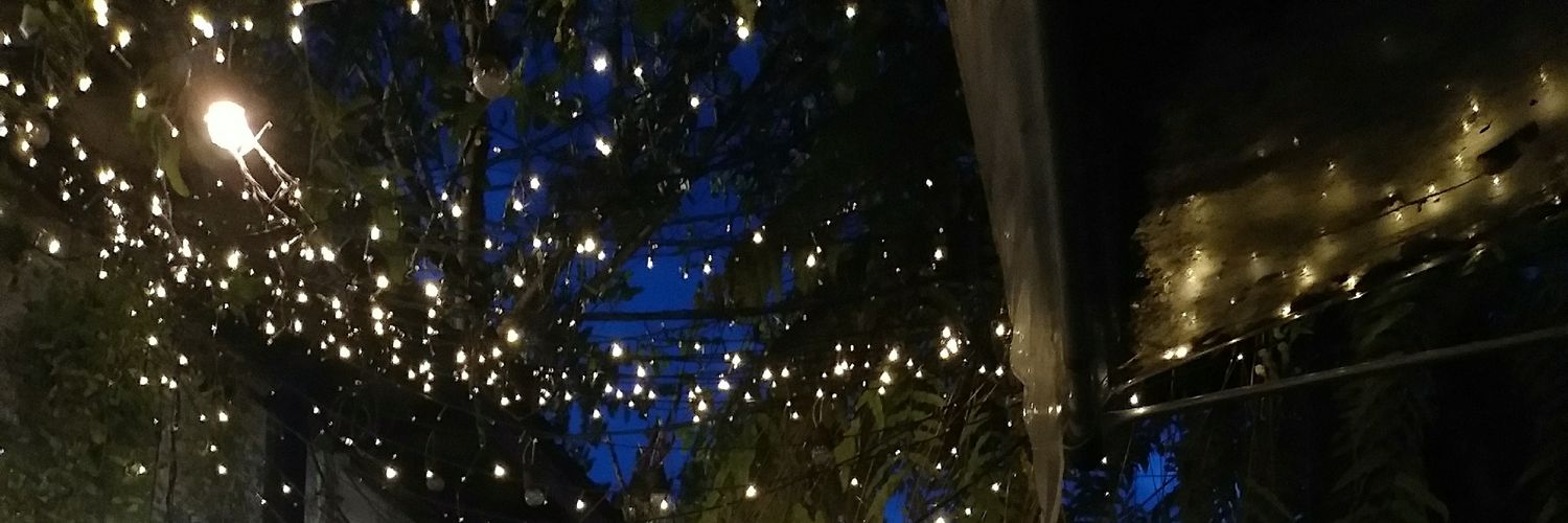 panpannppp's profile banner image