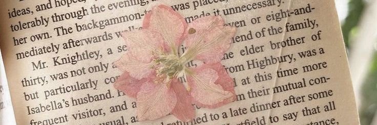 eldritchmond's profile banner image