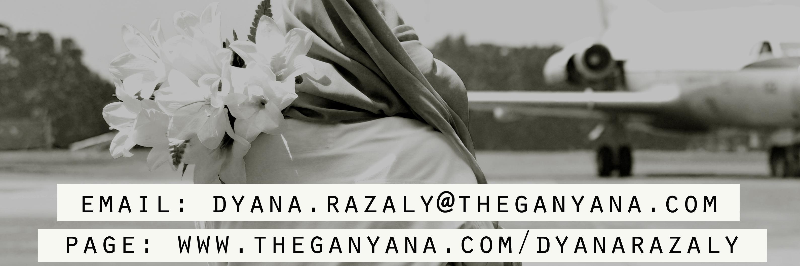 dyanarazaly's profile banner image