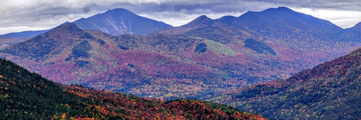 lacroim40's profile banner image