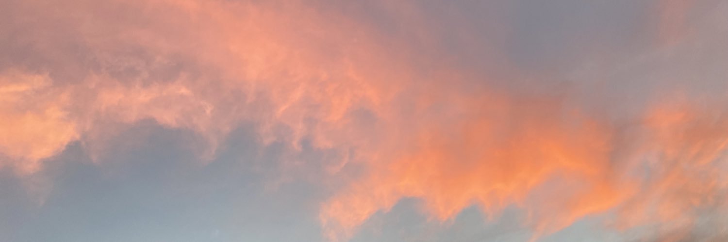 maceebuckley's profile banner image