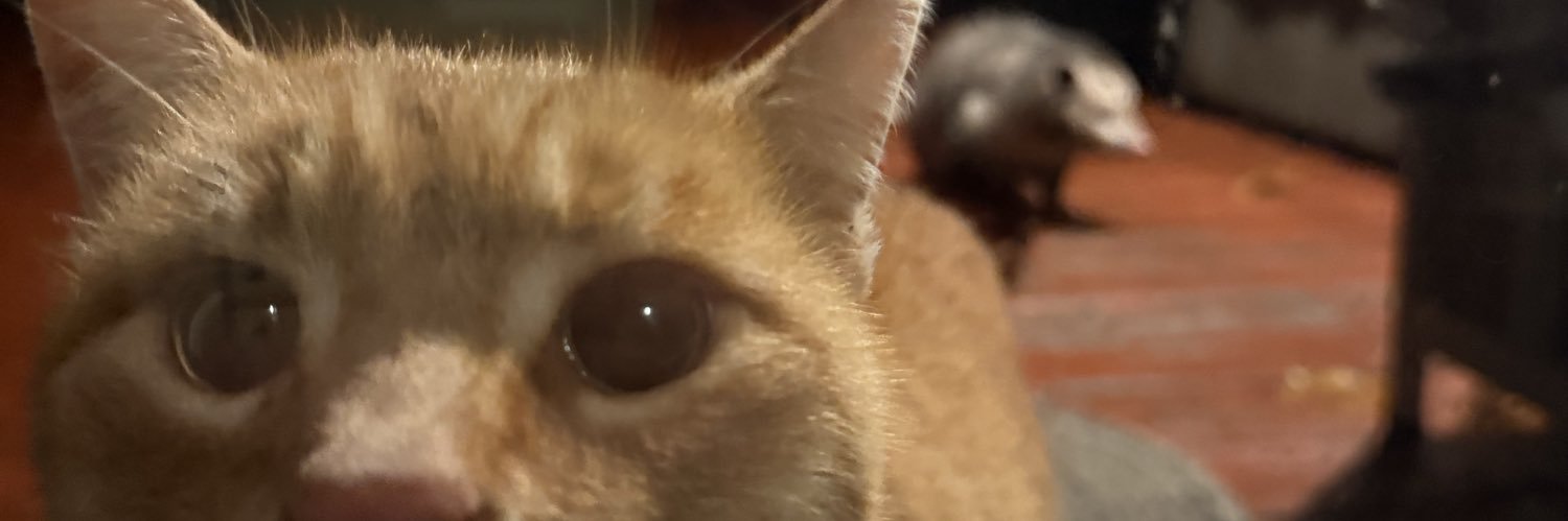KyleRandall97's profile banner image