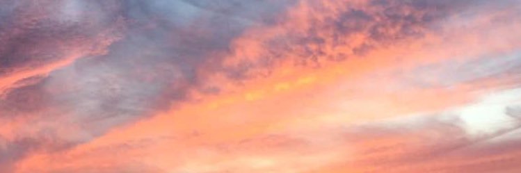 ZarenW's profile banner image