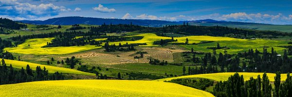 wwamirhrc Profile Banner