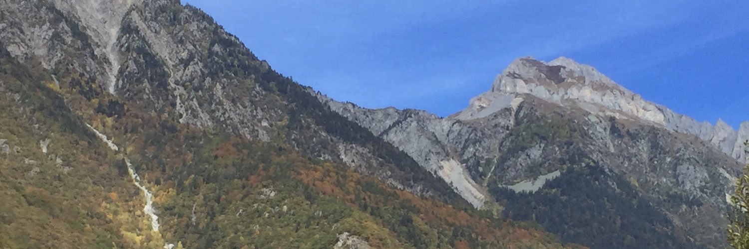 NicolasFellay's profile banner image