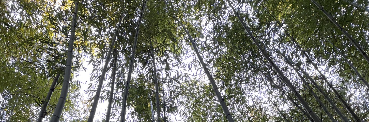 Vespira69's profile banner image