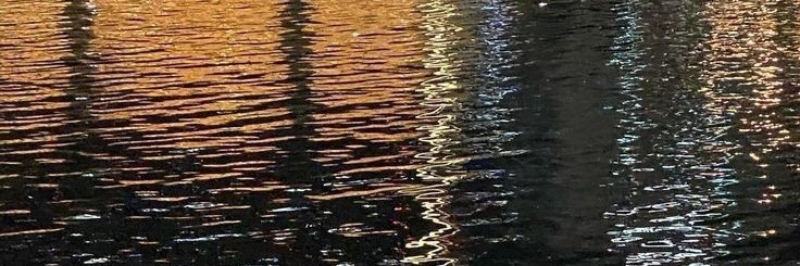 leaa🌷 banner