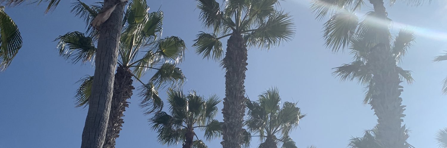 🌺Danielle🌺 banner