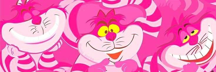 𝐛𝐞𝐥𝐚 ✧˖° banner