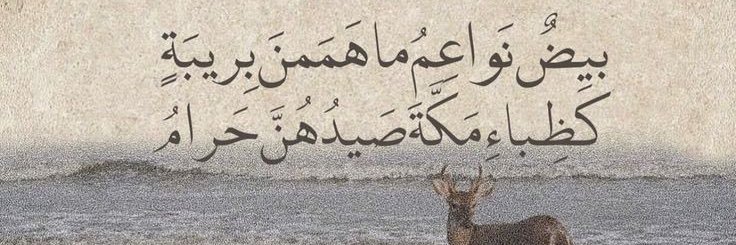 Aseel banner