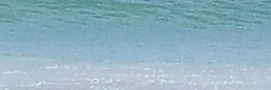 CtrlAltQuestion's profile banner image