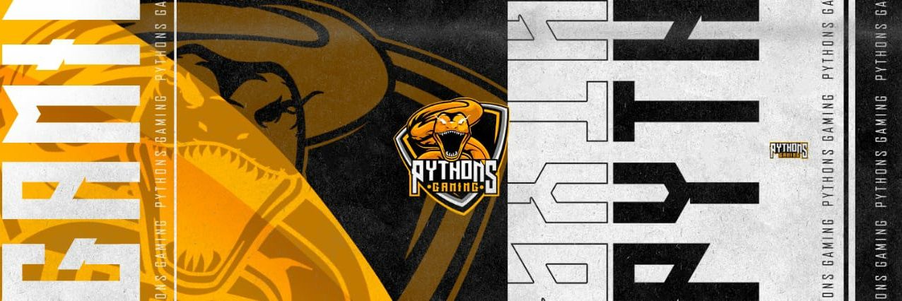 Python's Gaming banner