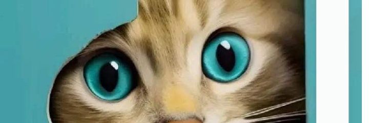 LuisHernandoR's profile banner image