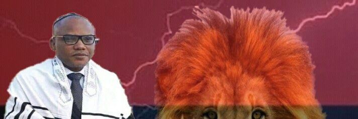 Ugoeze13717364's profile banner image