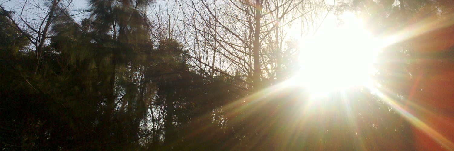ravittoni's profile banner image
