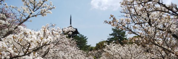 irot_4342 Profile Banner