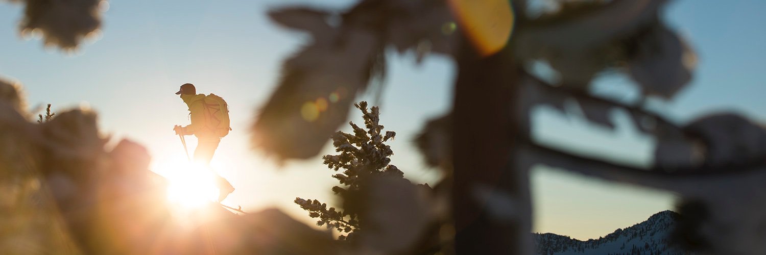 winterwildlands's profile banner image