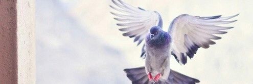 HadeelHamed14's profile banner image