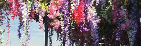 paperpompom's profile banner image