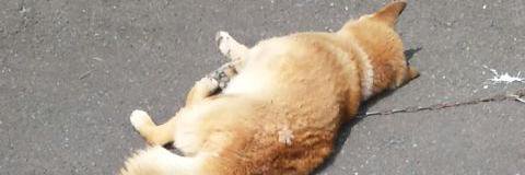 onop8424's profile banner image